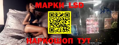 гашик Аргун
