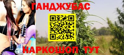 гашик Аргун