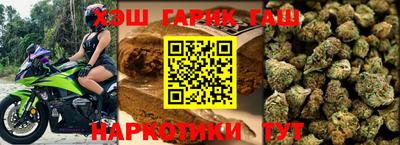 гашик Аргун