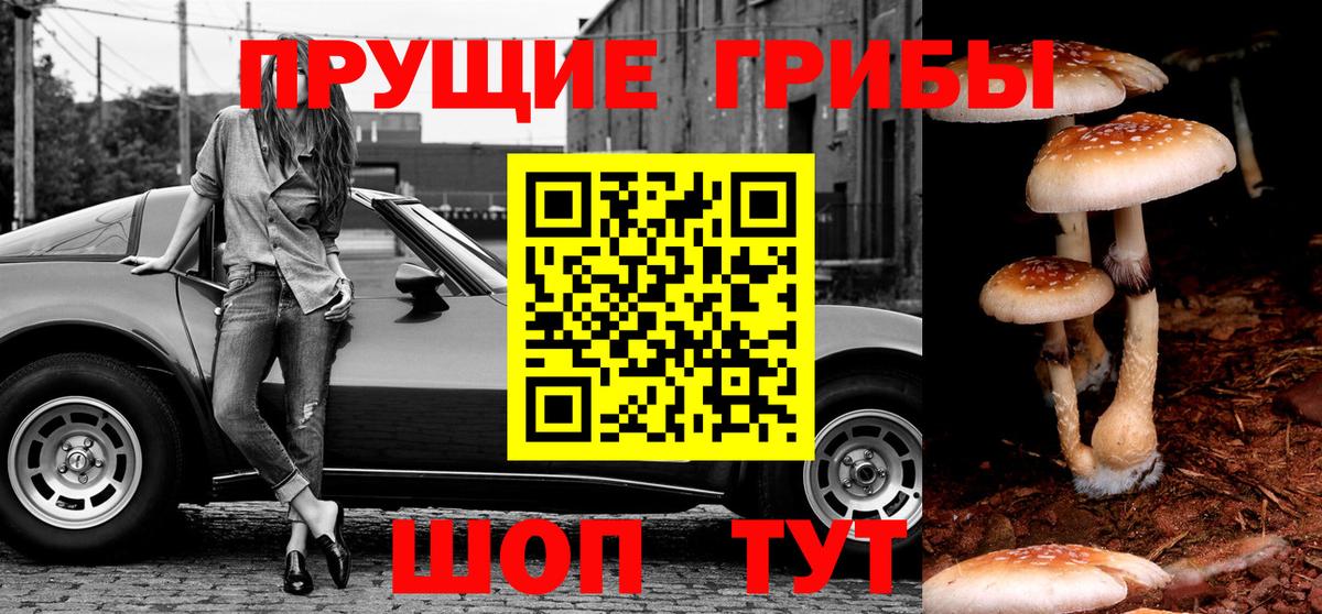 Галлюциногенные грибы ЛСД  Вход с VPN  Галлюциногенные грибы мицелий  Березники 